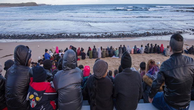 Desfile de pingüinos y fauna salvaje de Phillip Island - Tour de un día entero - Foto 5